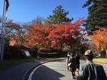 20151028_プリンス